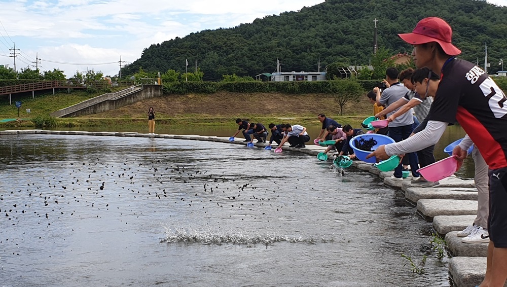 철원군, 화강 다슬기축제장 다슬기종패 방류사업 실시