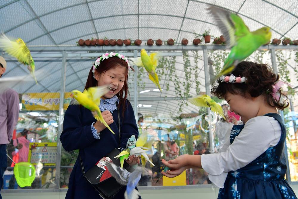 장성군 앵무새 특별체험관...가족단위 관람객 큰 호응!
