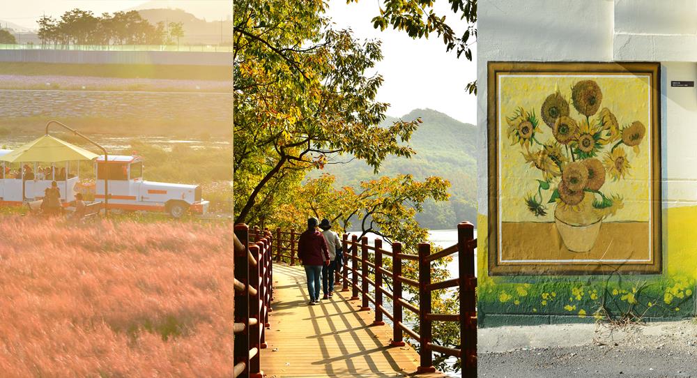 장성호 수변길과 황룡강 꽃길, 벽화거리…가을 여행지로 제격