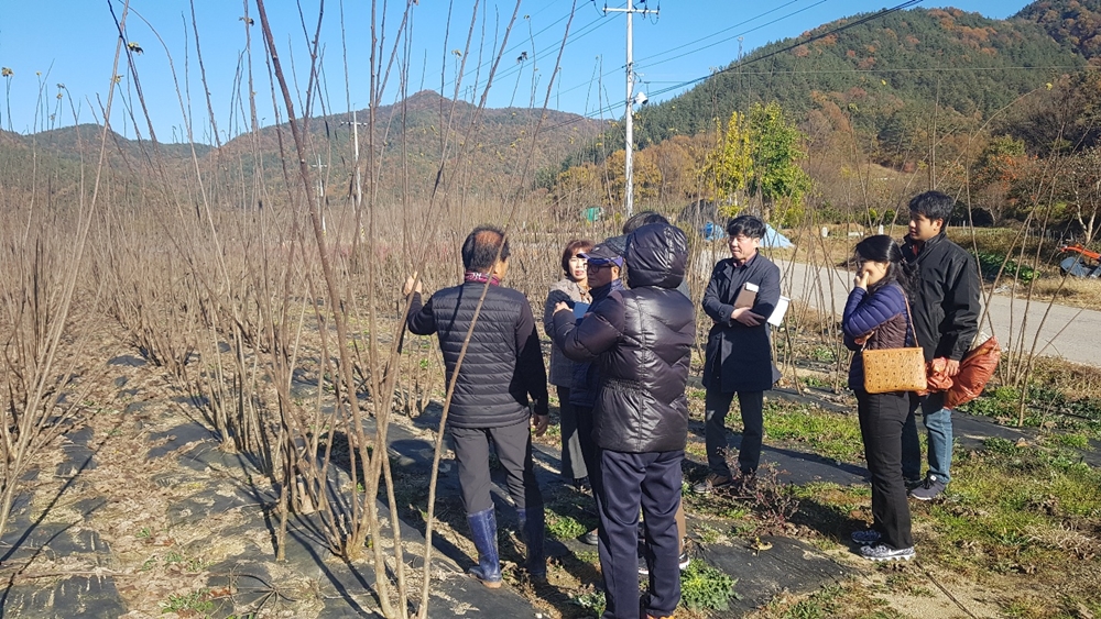전주산 닥나무 수매로 고품질 전통한지 생산한다!