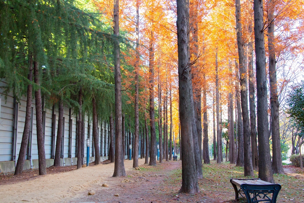 부산 북구, 2019 부산의 길 한마당 콘테스트 대상 수상