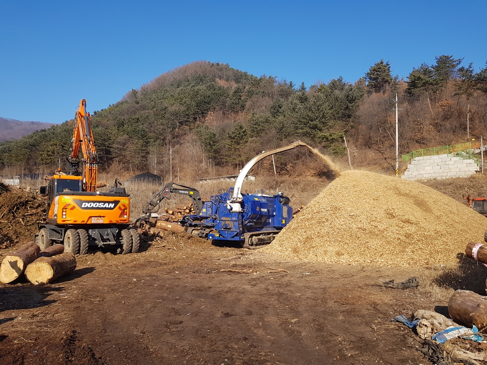 가평군, 소나무재선충병 피해목 산업적 이용 활성화 추진