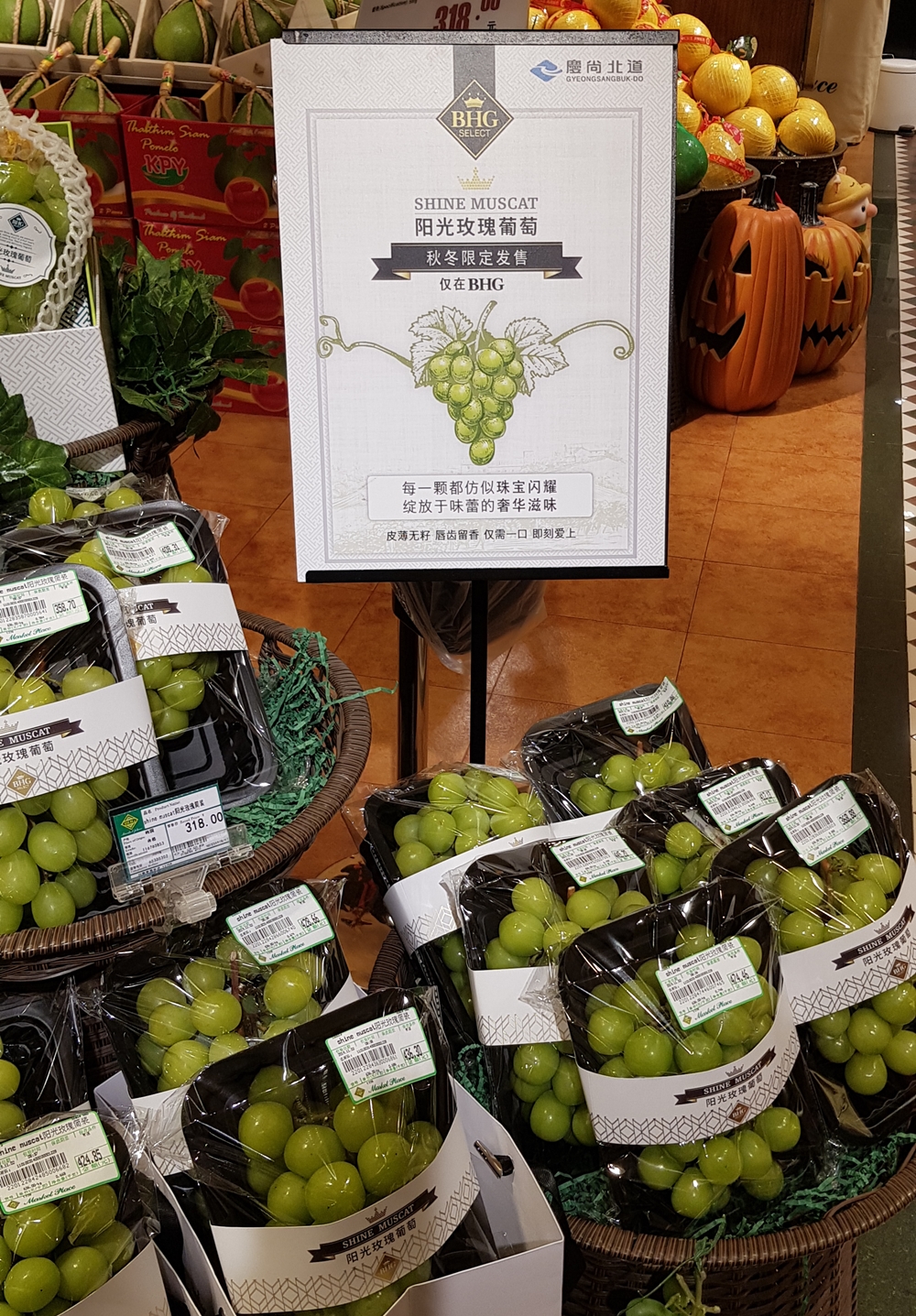 경북, 신선농산물 수출...역대 최고 실적 달성