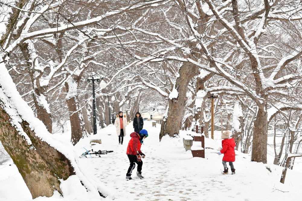 [포토] 담양의 올겨울 첫 설경(雪景)… 관광지 곳곳 ‘장관’