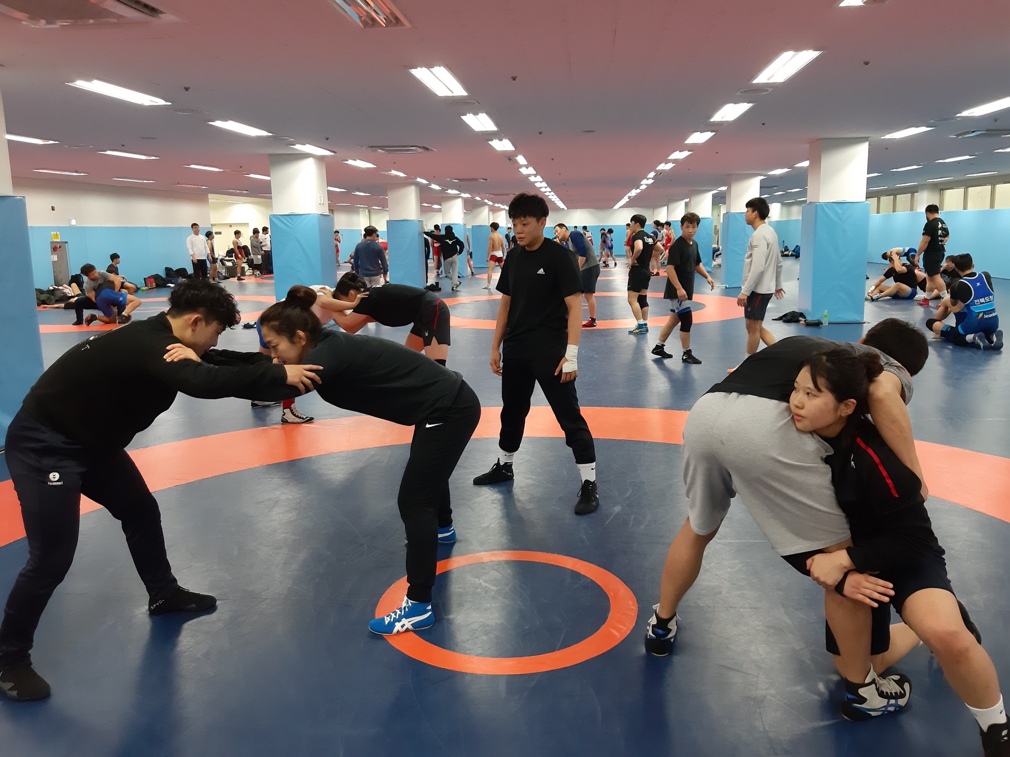 전지훈련의 메카, 평창에서 전국 레슬링팀 맹훈련