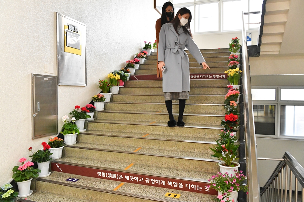 해운대구, 코로나19로 위축된 화훼단지 지원
