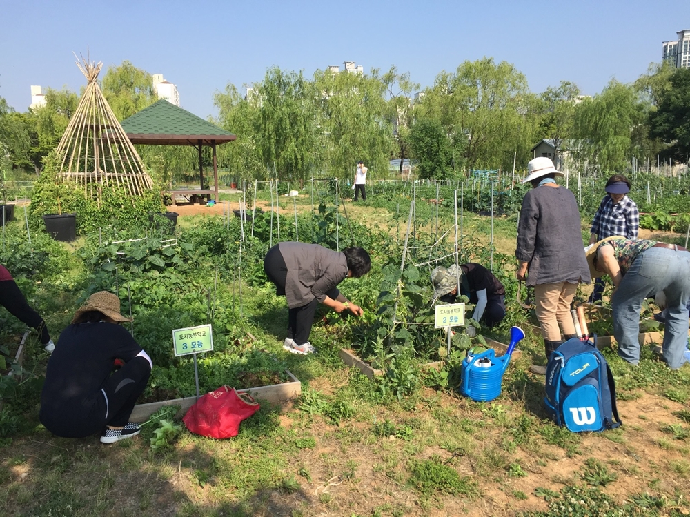 ‘도심 속 농업체험’ 부천시 시민농장 개장