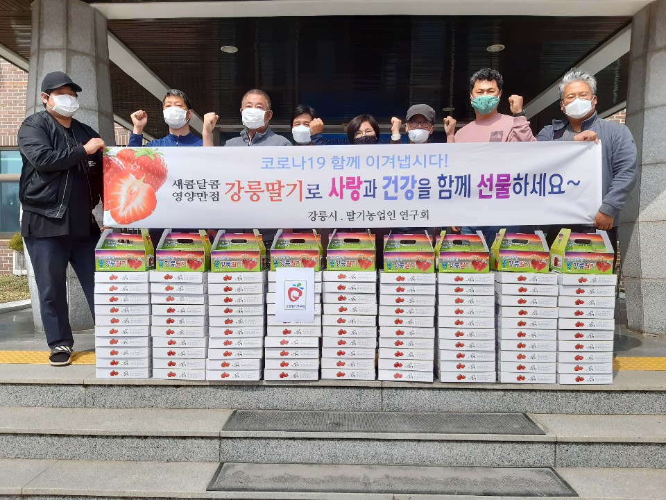 강릉 딸기연구회, 딸기 위문품 전달