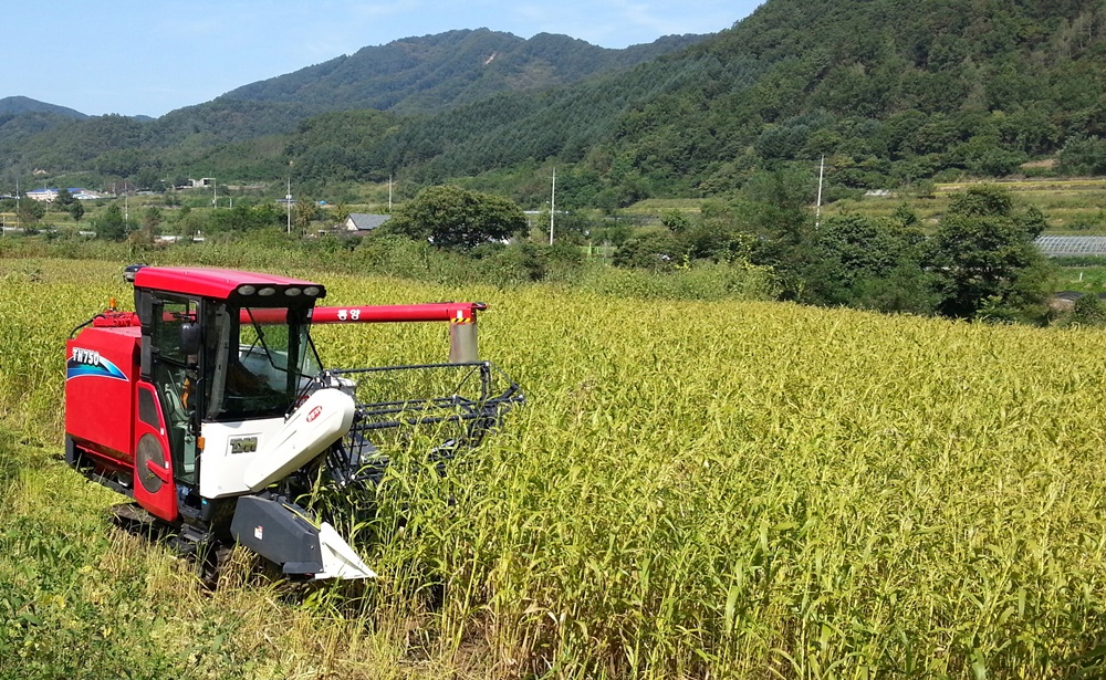 화천군, 코로나19 확산 대비 비대면 영농 서비스 확대