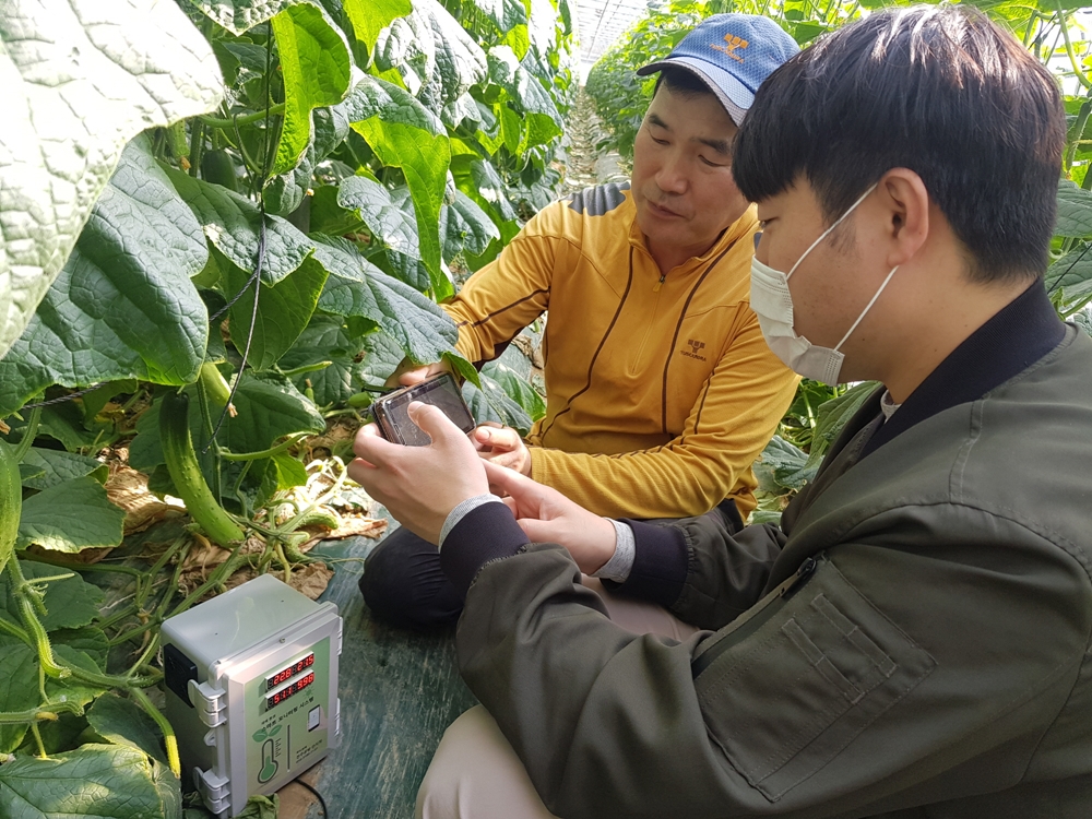 달성군, 스마트 농업을 위한 IoT(사물인터넷) 장치 배부