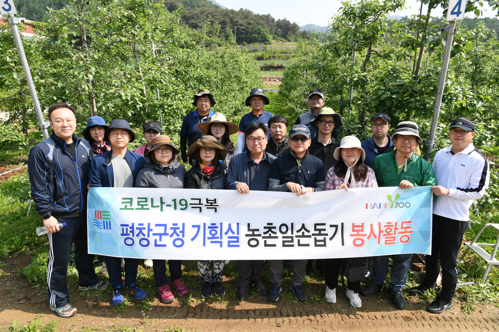 평창군 기획실‧행정과 직원일동, 농가 일손 돕기 추진
