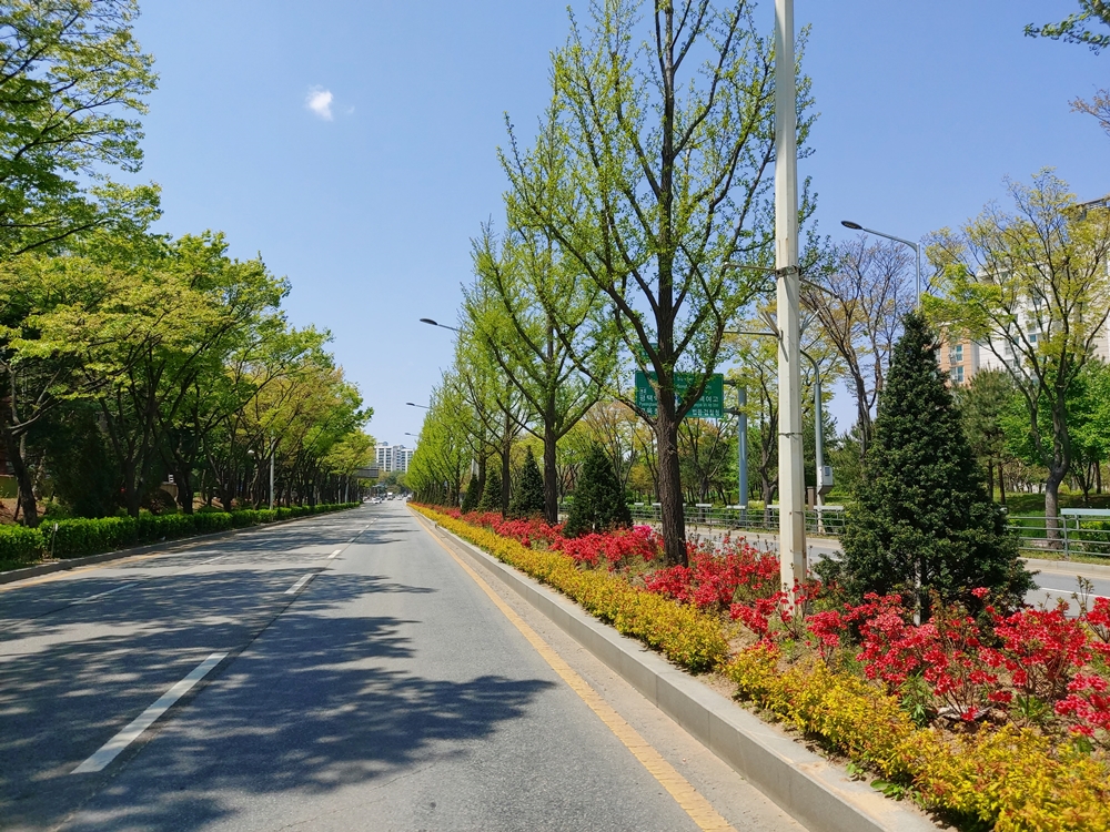 평택시, 국도1호선 남부문화예술회관~동삭교  걷고 싶은 힐링거리 조성