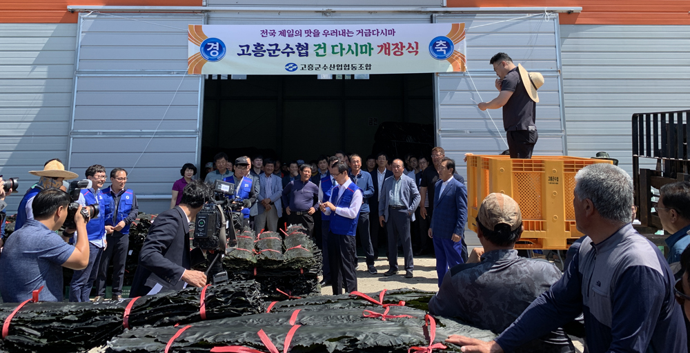 고흥군, 해풍에 말린 건다시마 올해 첫 위판 개시