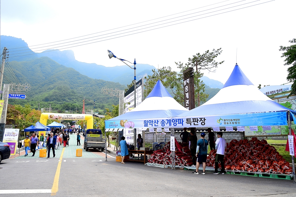 제천시, '18회 월악산 송계양파축제' 취소