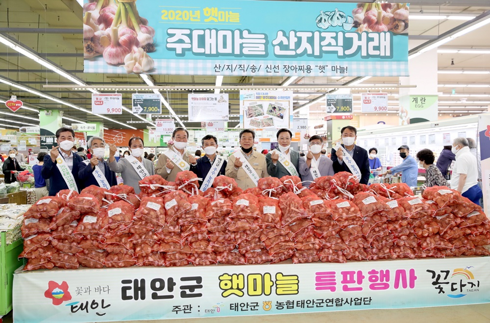 태안군, 명품 특산물 ‘햇마늘’ 대도시 직판행사 개최!