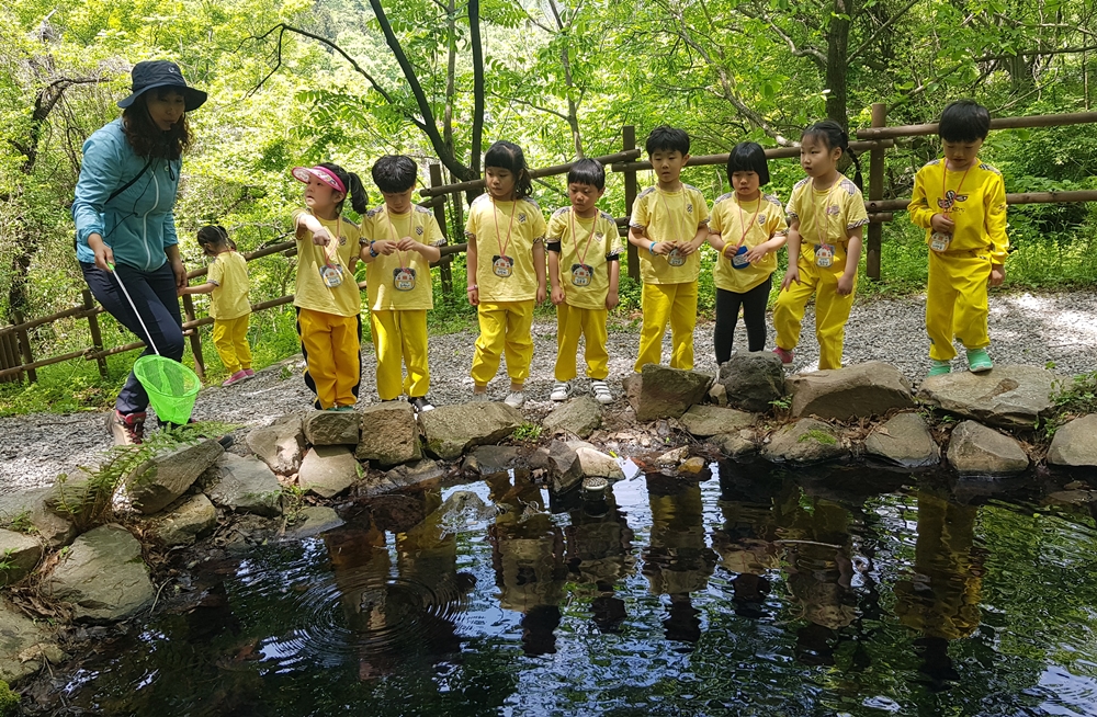광주 동구, 너릿재 유아숲에 친환경 ‘숲체험 놀이터’ 조성