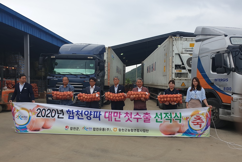합천군, 양파 대만 첫 수출 길 올라
