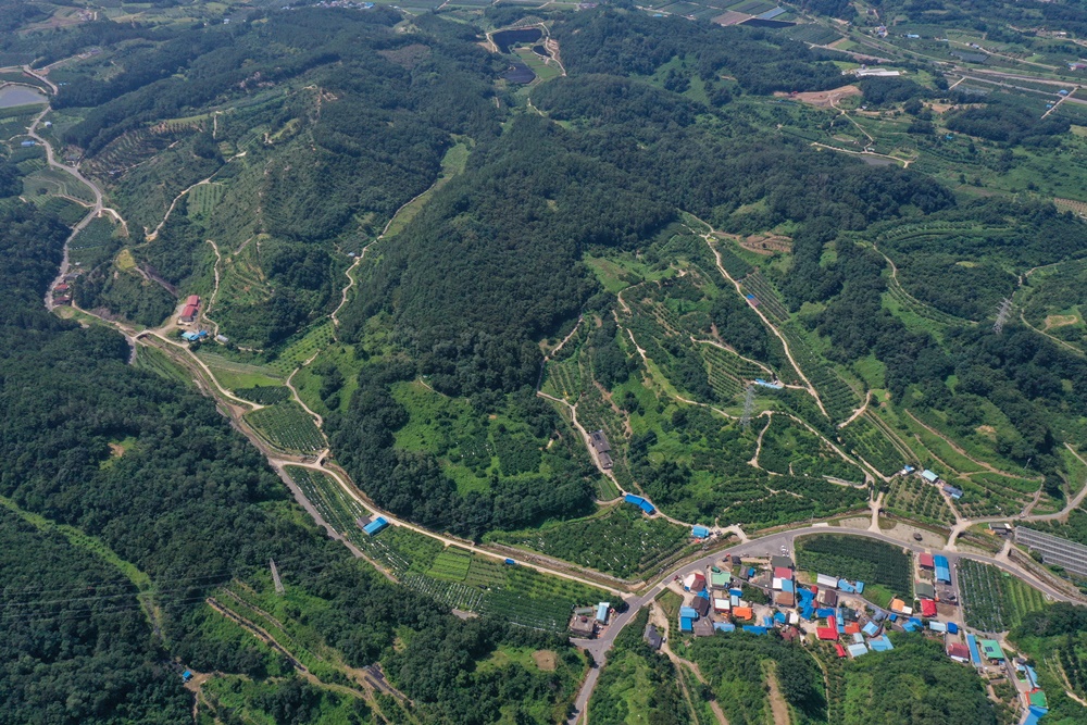 영동군, 산지에 무분별한 태양광발전시설 설치는 더 이상 ‘NO’