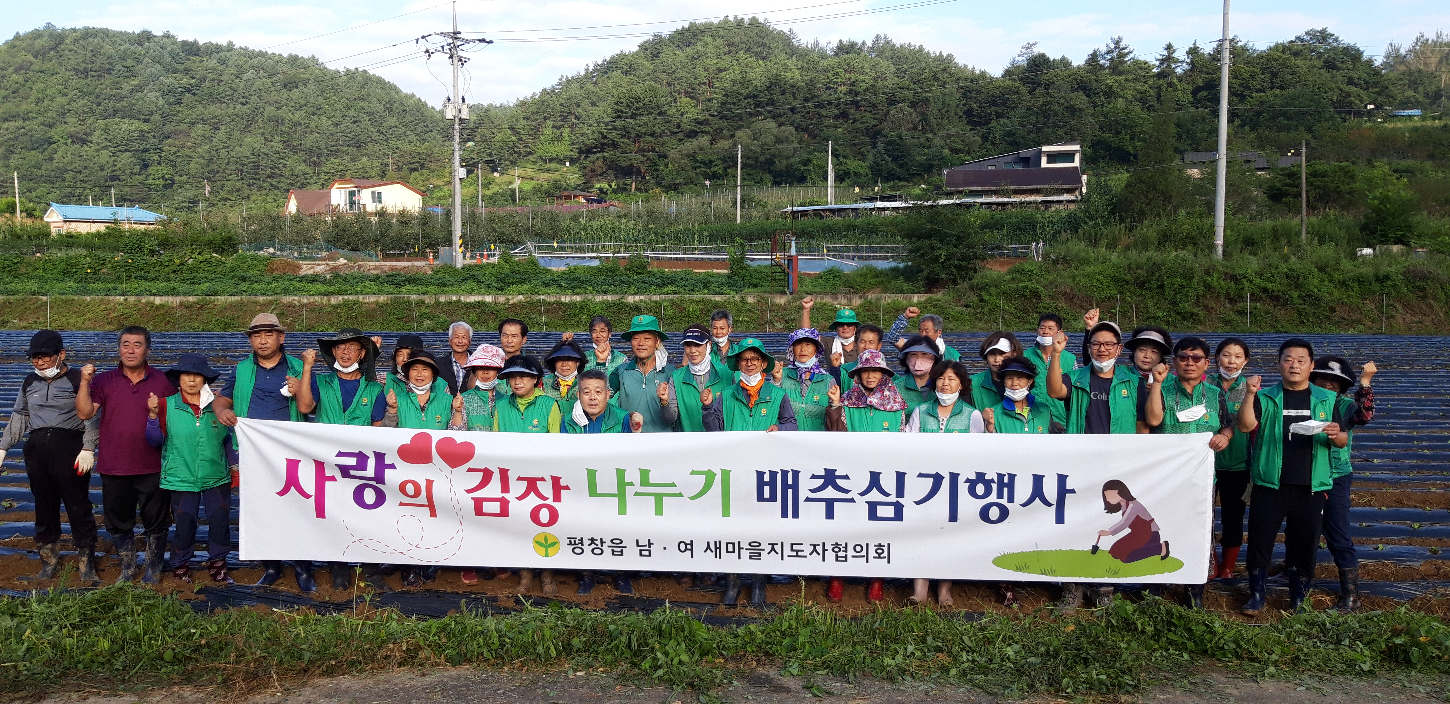 평창읍새마을남녀지도자협의회, 사랑의 김장 배추 모종 식재