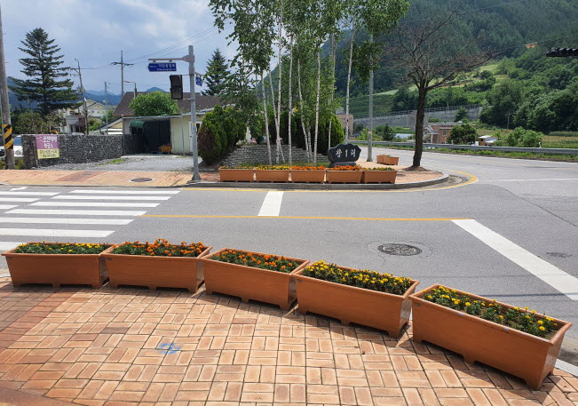 평창군 미탄면, 시가지 내 화분가꾸기 운동 확산