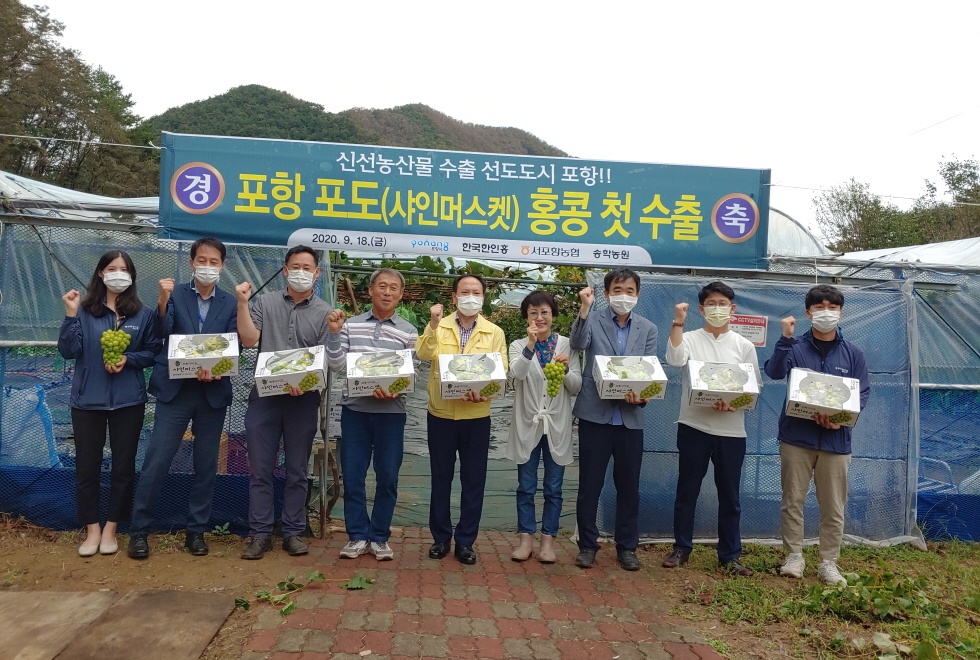 포항 고급 청포도 ‘샤인머스켓’ 홍콩 첫 수출