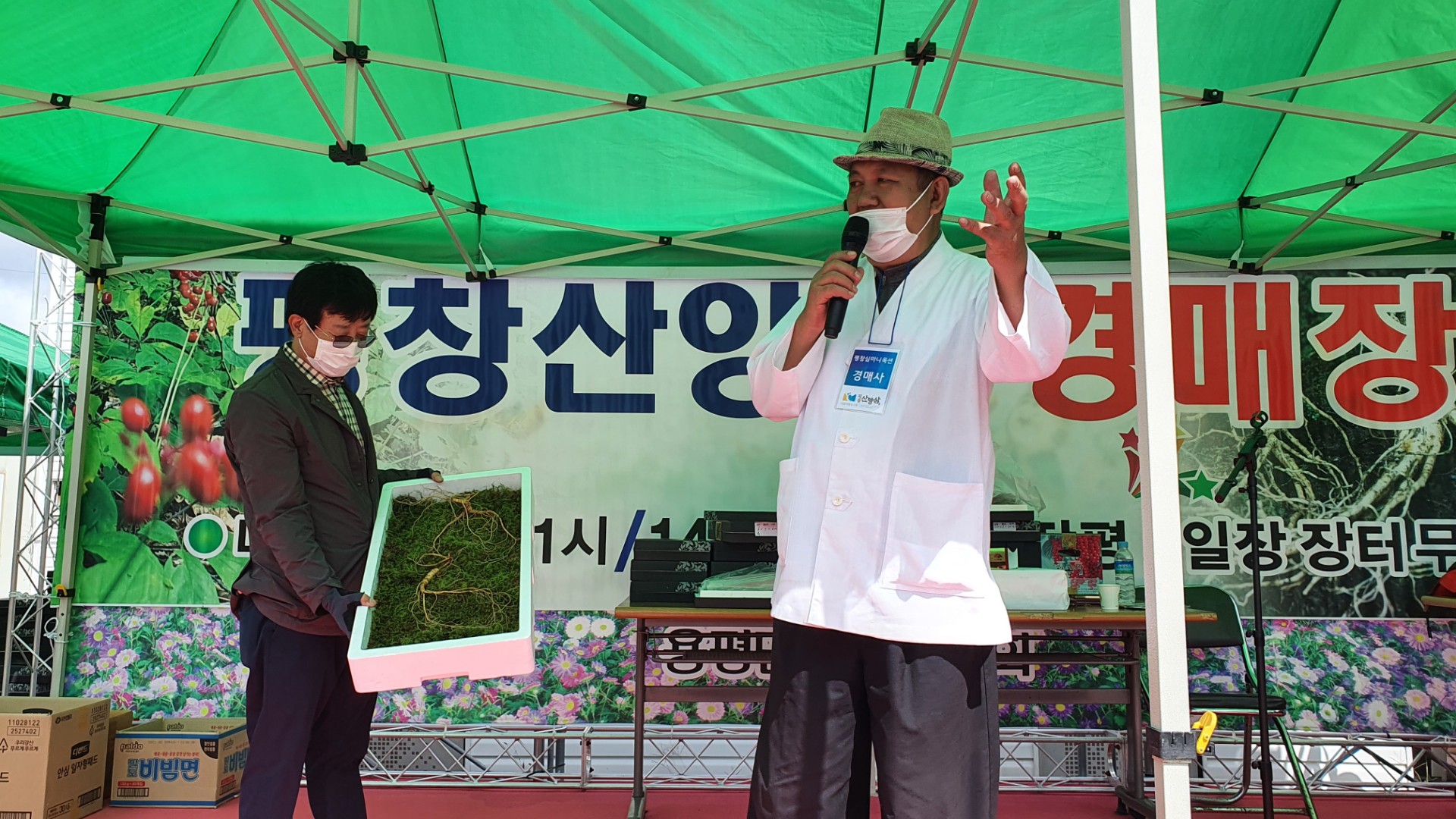 평창 용평면, 장평5일 평화시장 평창산양삼 경매시장 개장