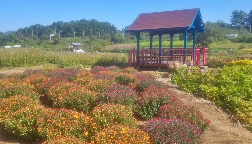 파주형 희망일자리로 우리 마을이 달라졌어요?