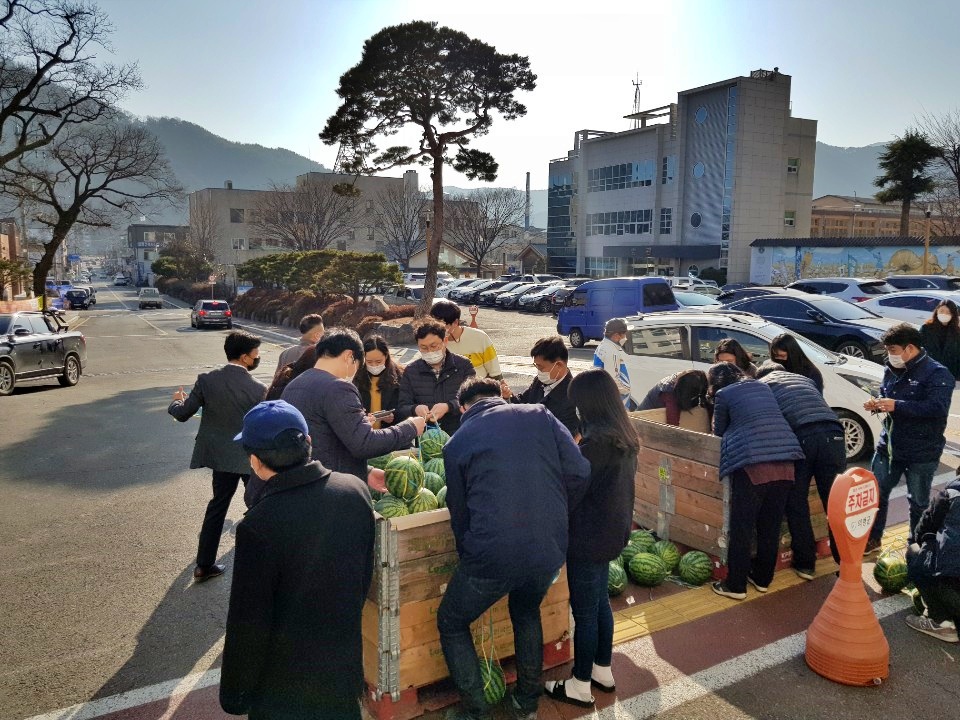 의령군, 연말 어려운 농가 위해 '수박 팔아주기' 운동 전개