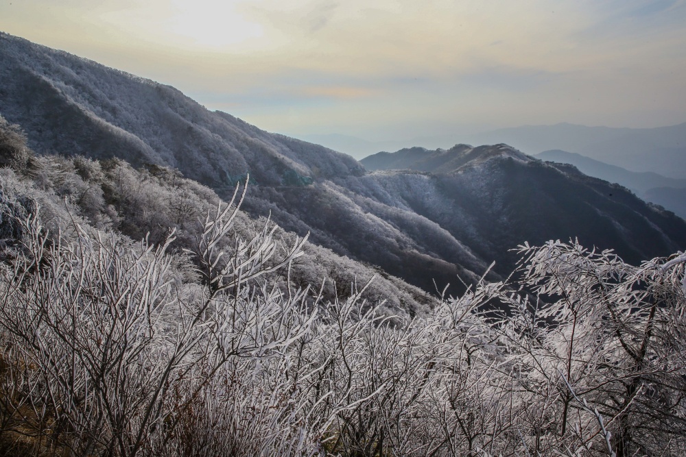 구례군, 12월 15일부터 '지리산 노고단' 동절기 통행제한