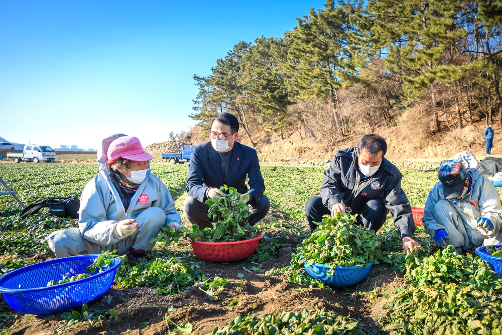 [포토] 남해의 겨울은 ‘보물초’로 푸르다