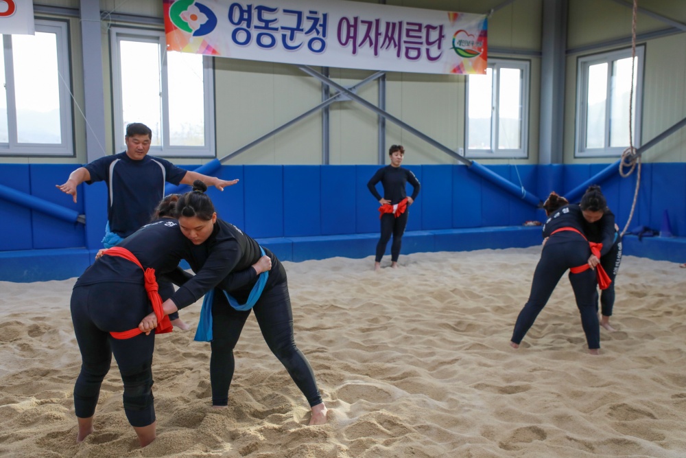 영동군청 여자씨름단, 출격 준비 완료