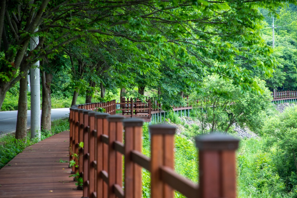 괴산군, 테마형·체류형 관광산업 육성 박차