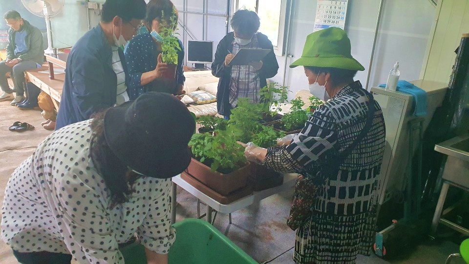 2021년 농촌체험관광 패키지...김포 빰빰(Farm Farm)투어 신규 체험장 모집