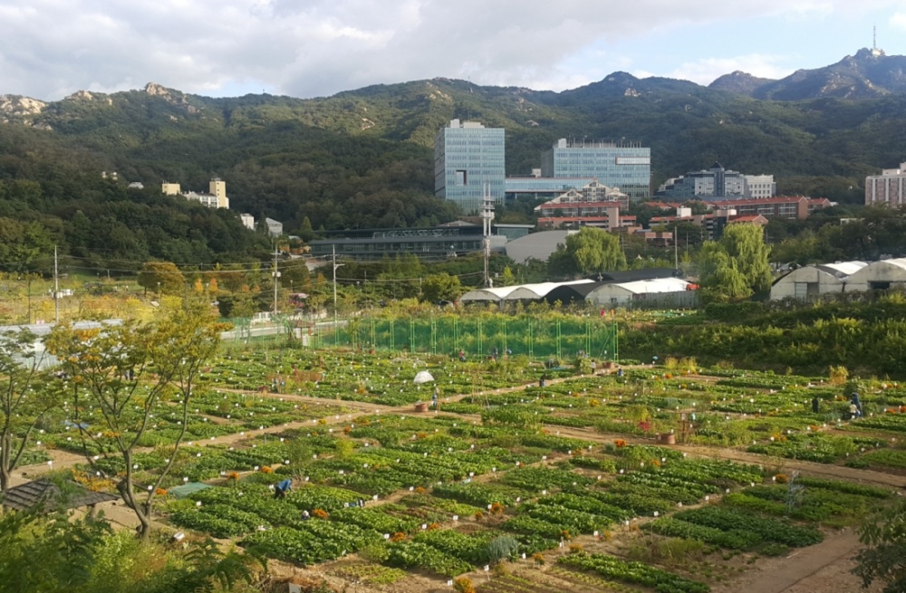 관악구, 친환경 도시텃밭 오는 23일부터 분양신청 접수