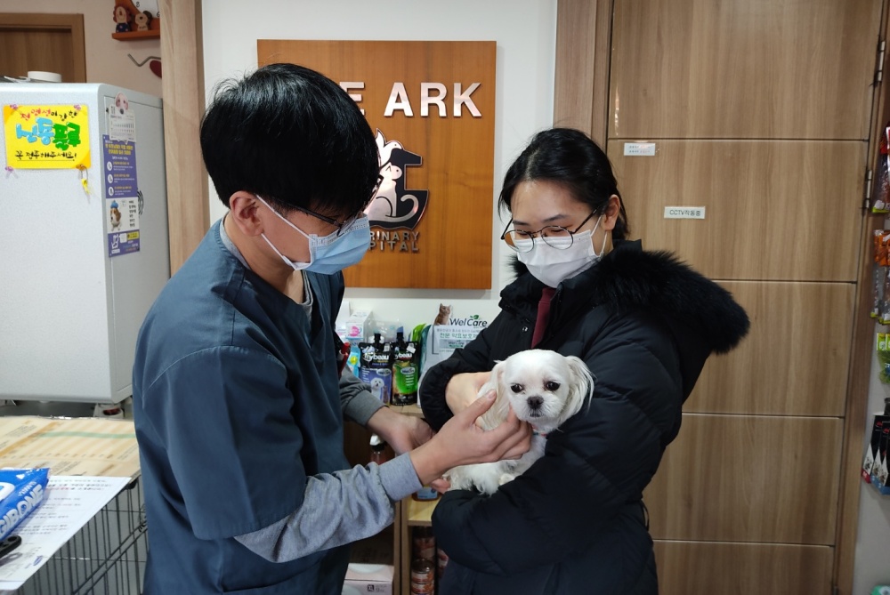 동작구, 올해부터 유기동물 입양비 최대 30만 원 지원