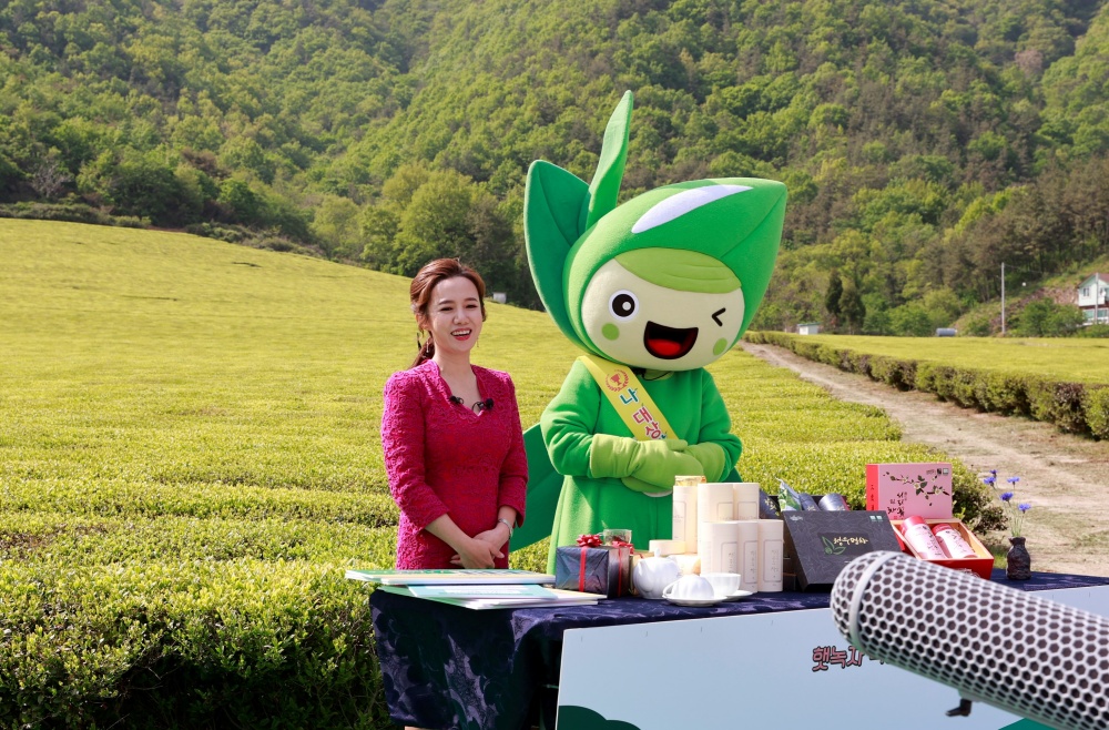 보성햇차 라이브커머스로 ‘완판 행진’…차 농가 함박웃음
