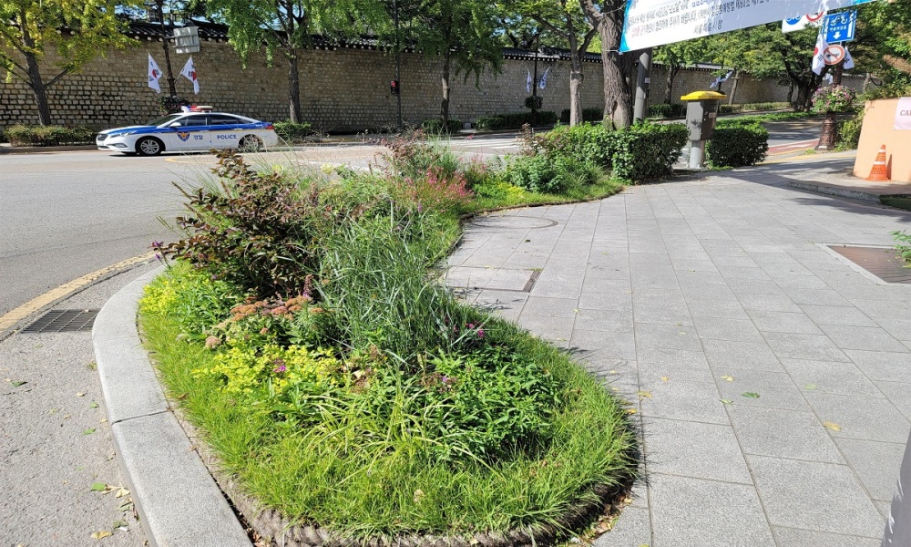종로구, 이달까지 8만 그루 나무심기…‘미세먼지 저감’ 총력전