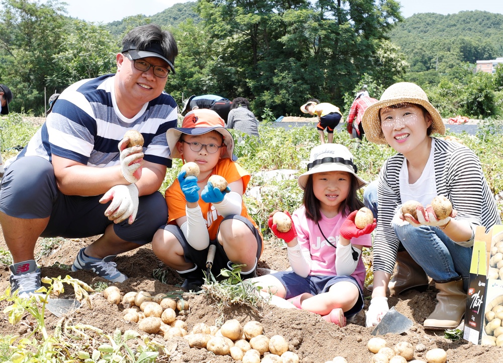 괴산 감물감자축제, 6월 18일부터 20일까지 개최