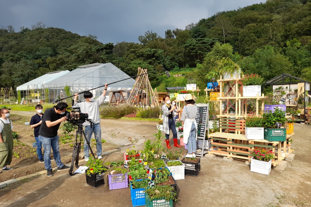 서울시, 도시농부들의 축제 온‧오프 ‘서울도시농업박람회’ 27일 개막