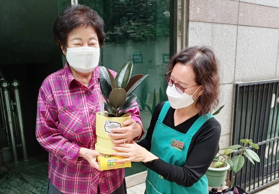 용산구, 어르신 200명에게 반려식물 지급