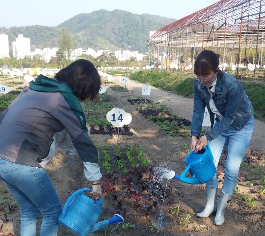서초구, 힐링텃밭으로 위기가구 정서안정과 건강 돕는다