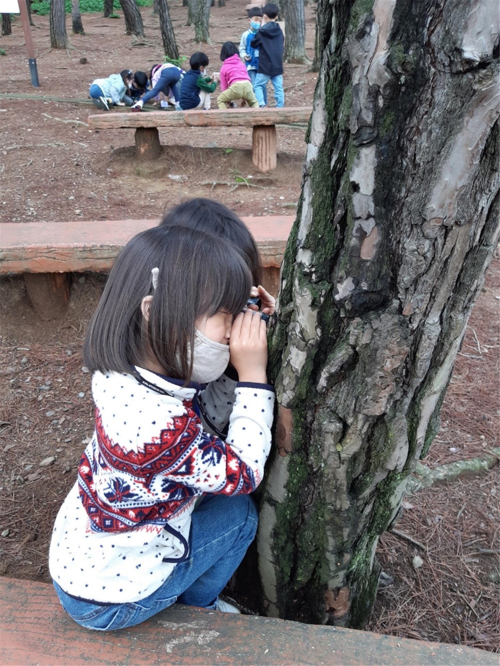 홍성군, 숲속에서 힐링하세요! ‘숲 해설’ 프로그램 호응!
