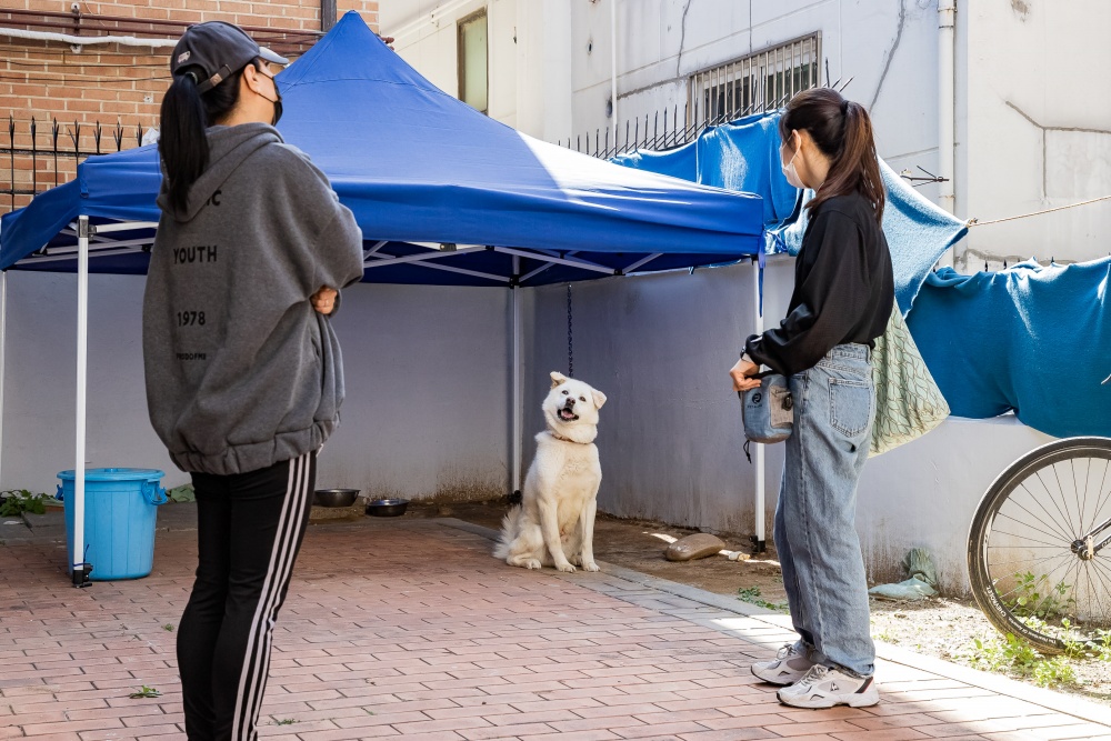 광진구, 떠오르는 반려동물 산업시장…맞춤형 청년 인력 양성