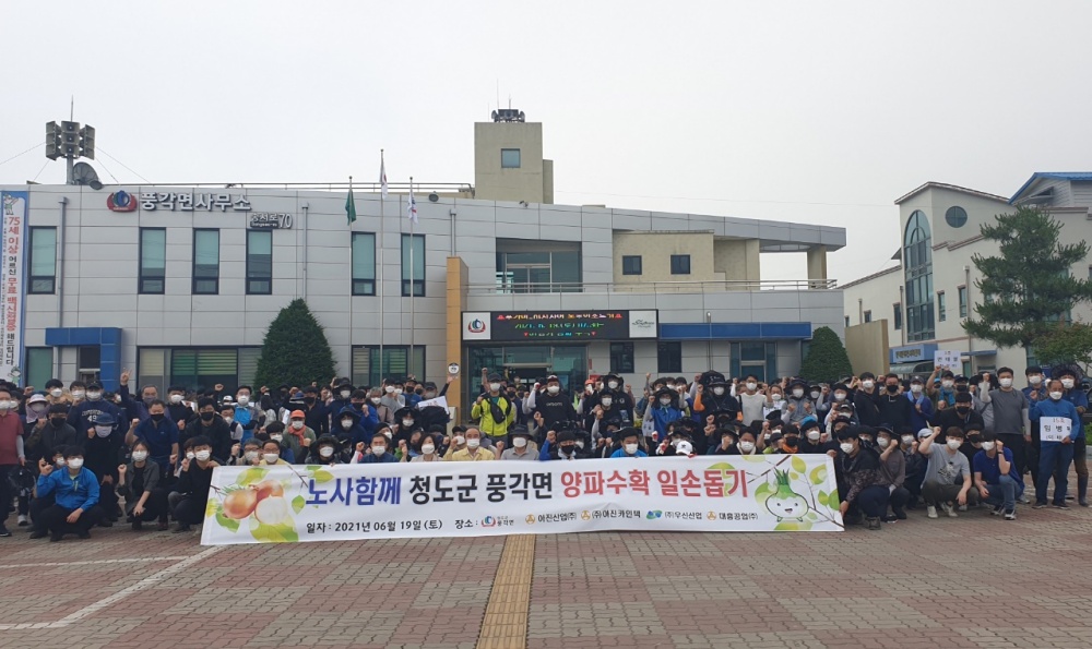 청도군 풍각면 자매결연업체 아진산업(주) '농촌일손돕기' 구슬땀