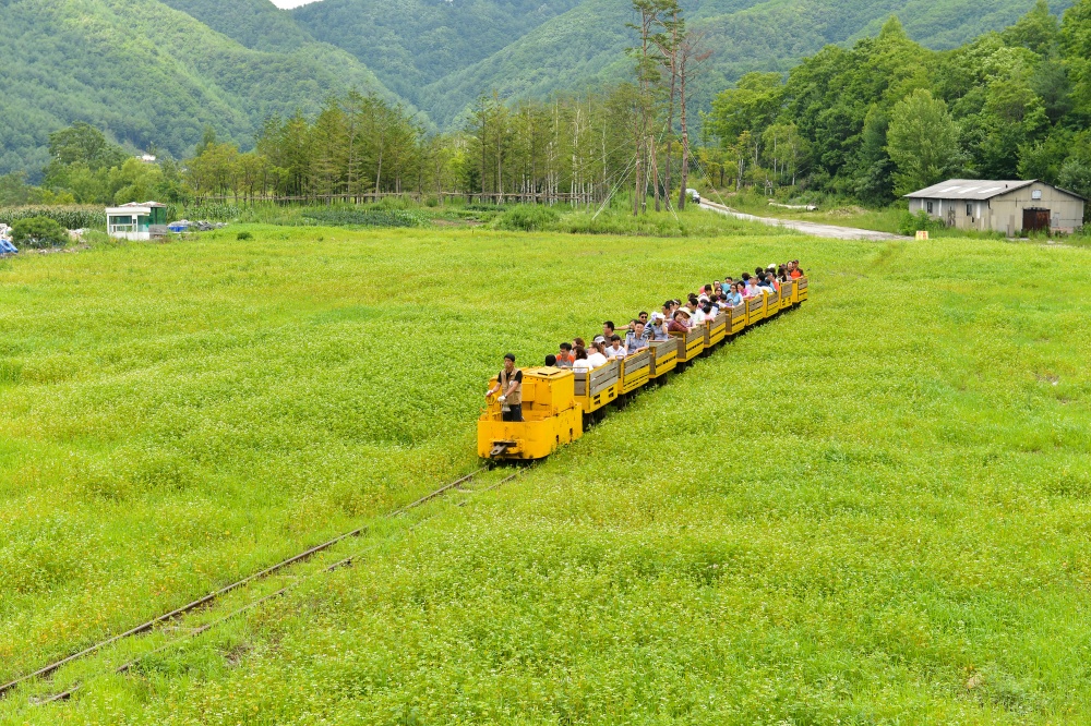 정선군, 고한 야생화마을 광차체험코스 조성사업 박차