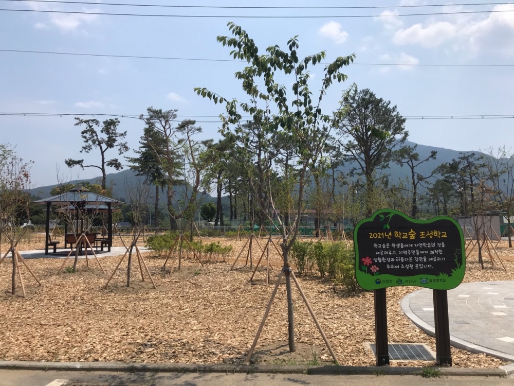 괴산군, 도시숲 조성 확대로 도심 내 부족한 녹지공간을 늘려