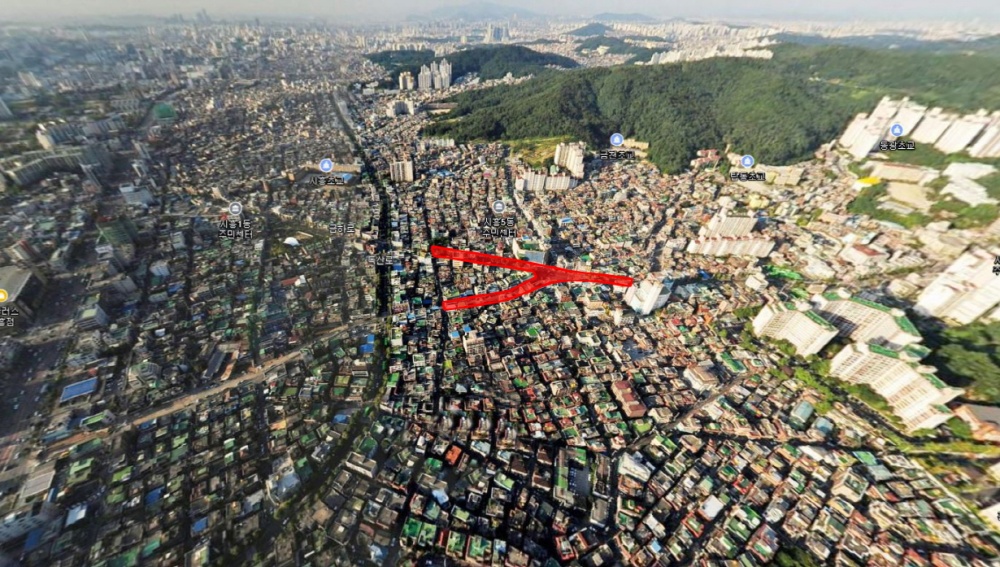 금천구, 시흥동 은행나무 일대 도시경관사업 공모 선정 15억 확보