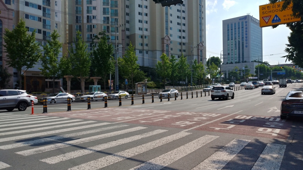 대구 서구, 안전한 보행환경 개선 ‘무단횡단금지시설 설치’