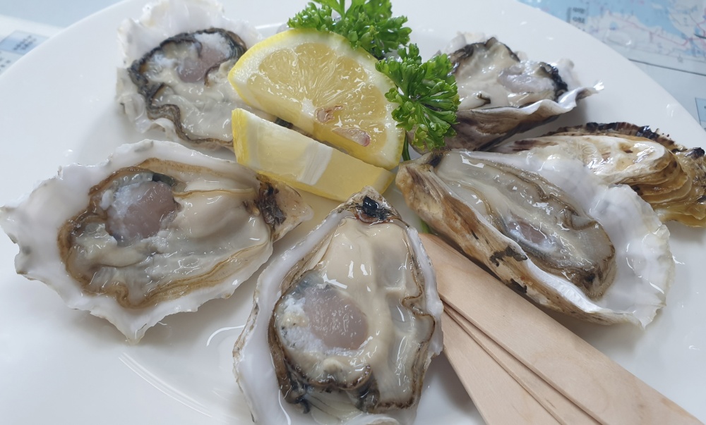 갯벌에서 자란 친환경 '신안1004굴' 신세계백화점 첫 납품