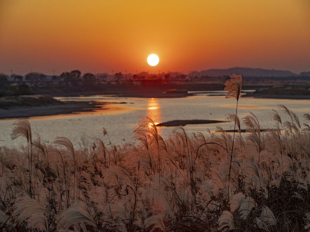 익산 도심 수변공원, 코로나19 핫플레이스로 떠올라